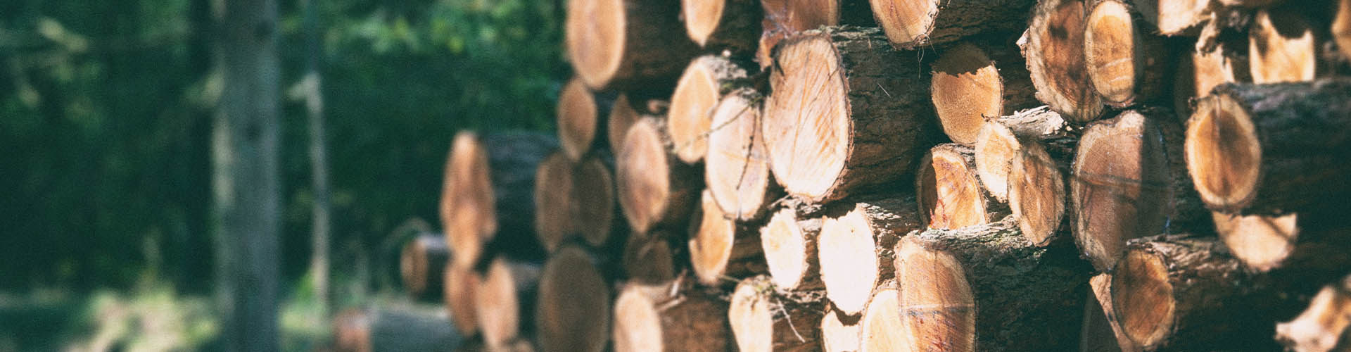 wood.jpg this image shows FSC certified wood